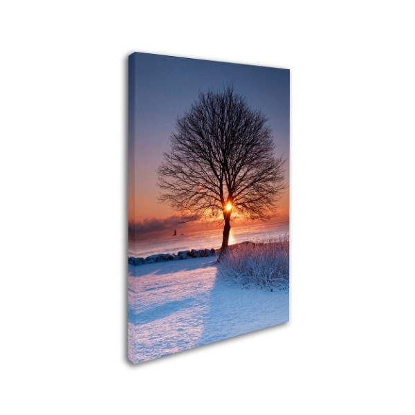 Michael Blanchette Photography 'Sun In Tree' Canvas Art,12x19